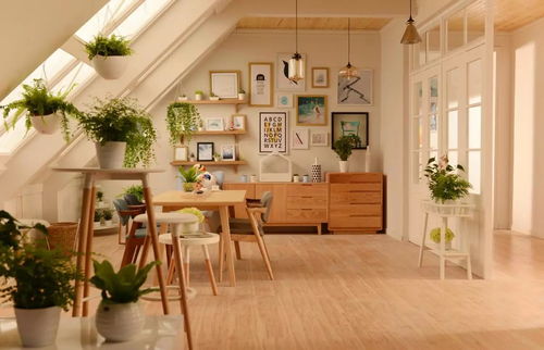 餐廳吊頂?shù)拿卦E 情人節(jié)無需去飯店，家里已經(jīng)夠浪漫